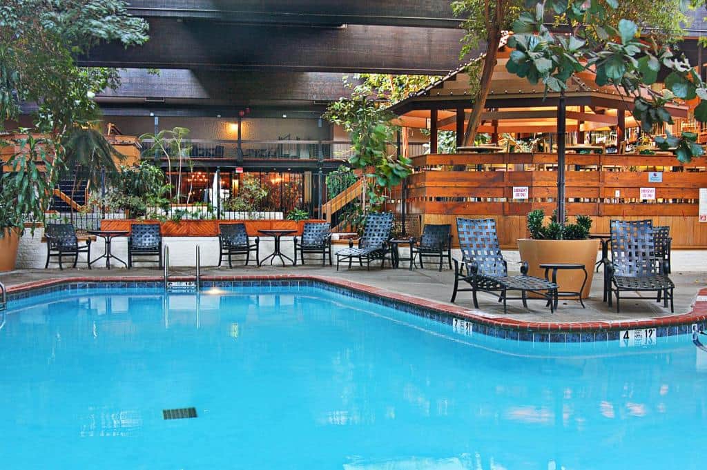 Millennium Buffalo