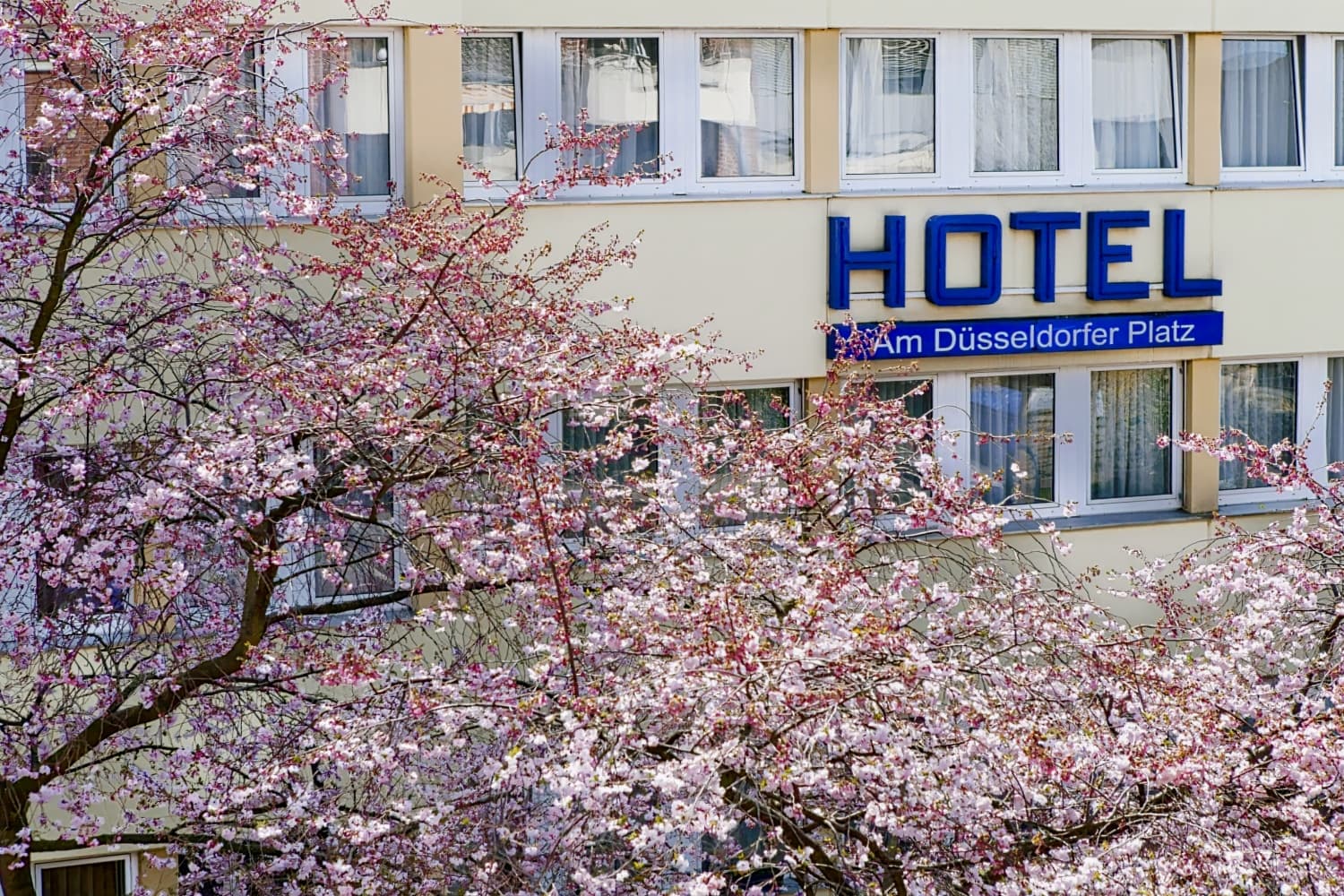 Hotel Am Düsseldorfer Platz