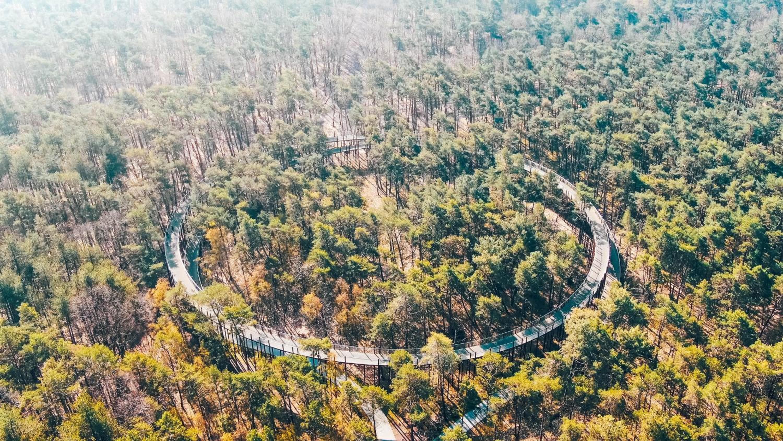 Green Resort Limburg