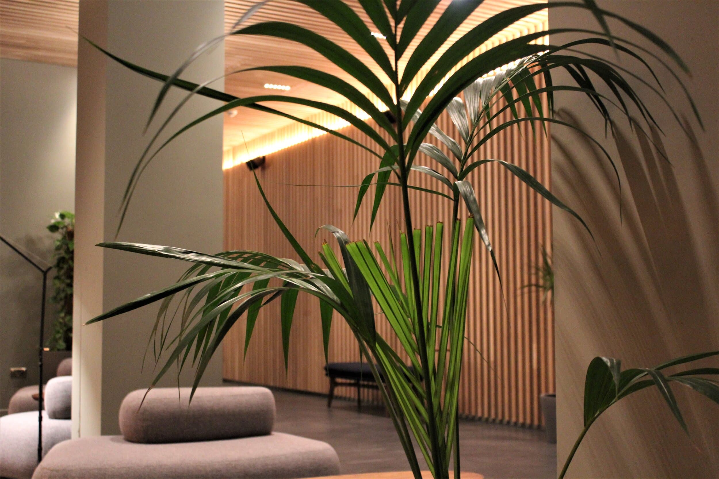 Zedwell Capsule Piccadilly Circus