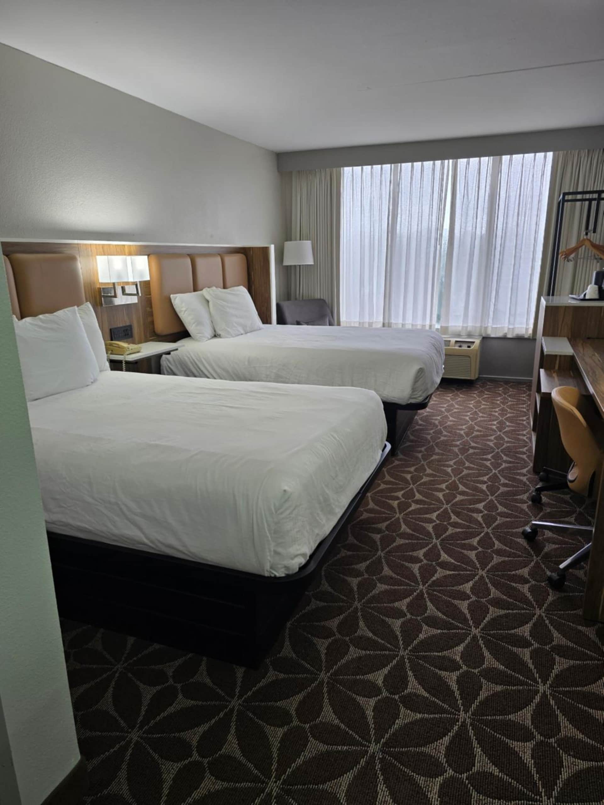 Wyndham Garden Williamsburg Busch Gardens Area